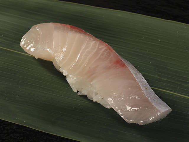 活〆カンパチ（1貫）